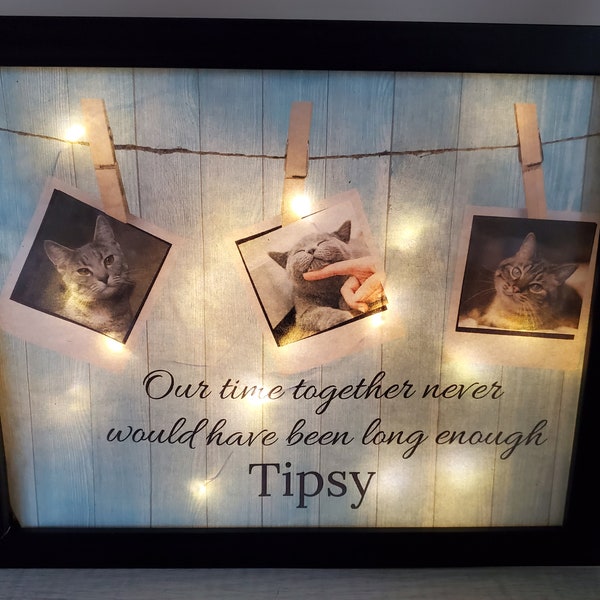 Pet Memorial frame, Dog Memorial Gift, Pet Shadowbox, Cat Memorial Gift, Personalized Dog Memorial, Pet Sympathy Gift, Lighted Shadowbox