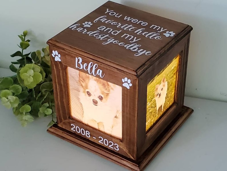 May include: Wooden memorial box with a photo of a small white dog. The box has a glass front and a light inside. The text on the box reads "You were my favourite hello and my hardest goodbye Bella 2008-2023".