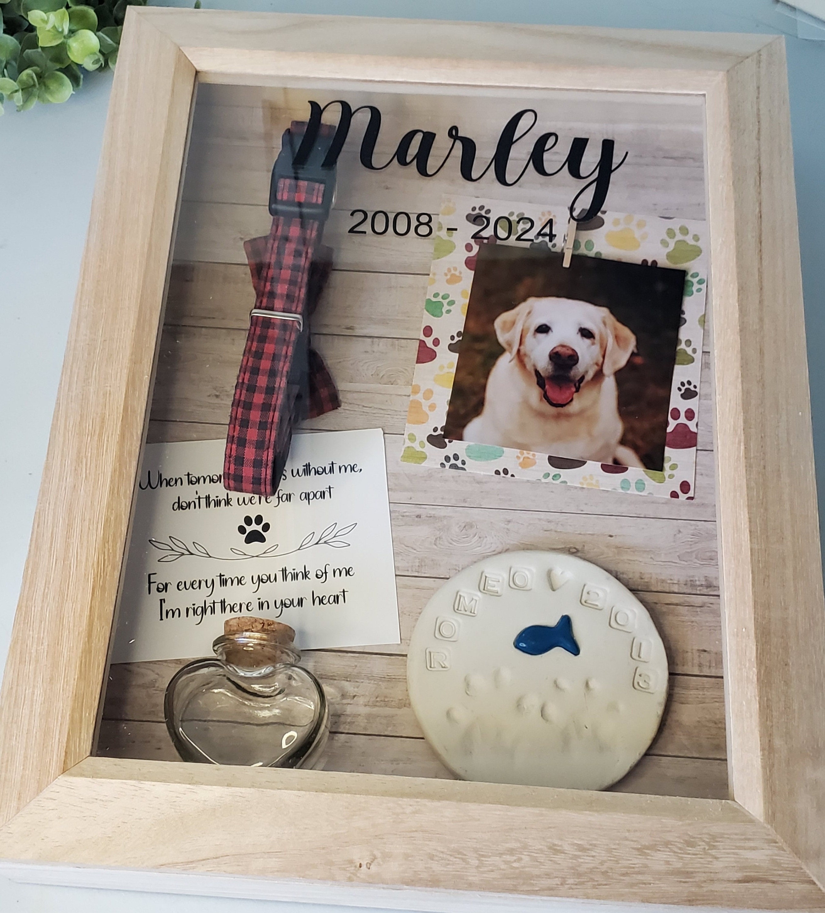 Pet Memorial One Time Dog Gift Box Pet Loss Gifts Amazon Dog