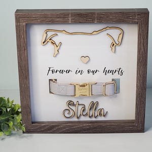 May include: A wooden frame with a white background and a cutout of a dog's head. The frame has a collar and the name "Stella" written on it. The text "Forever in our hearts" is written below the collar.