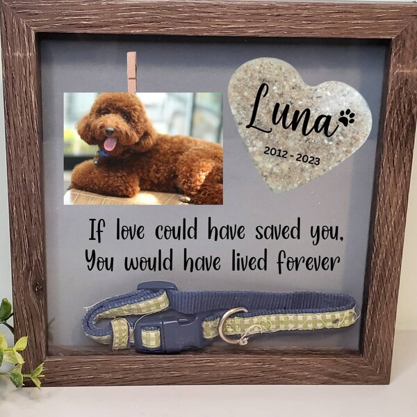 Pet Memorial Ashes Glass Etsy