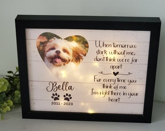 Marco conmemorativo para mascotas, obsequio conmemorativo para perros, caja conmemorativa para mascotas, obsequio conmemorativo para gatos, obsequio conmemorativo personalizado para perros, obsequio de simpatía para mascotas, caja conmemorativa iluminada