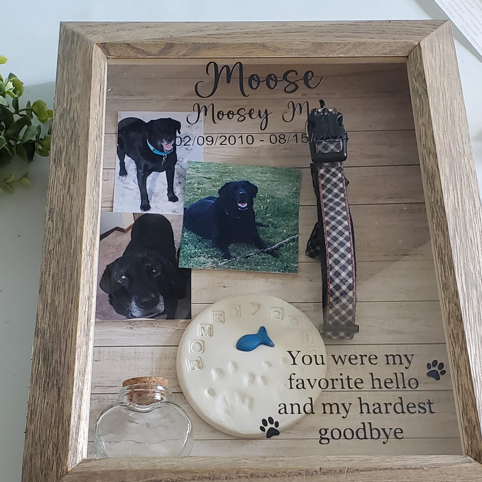 Pet Memorial Shadowbox, Large Shadowbox Display, Dog Memorial , Cat ...
