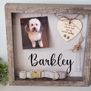 May include: A wooden shadow box memorial for a pet. It features a photo of a white and black dog, a small glass vial, a white dog collar, and a wooden heart with the text "You were my favorite hello and my hardest goodbye". The name "Barkley" is written in black cursive lettering.