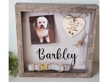 Pet Memorial Shadowbox for pawprint, Pet memorial gift, Dog Memorial , Cat Memorial, pet memory box, Dog collar frame,  Pet Sympathy Gift