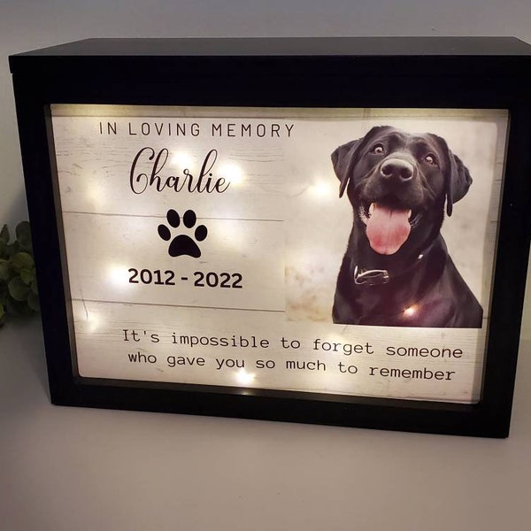 Lighted large pet Urn for dogs with photo, Pet Memorial urn, Personalized Cat Urn with Picture, large dog Urn, cat urn, pet cremation box