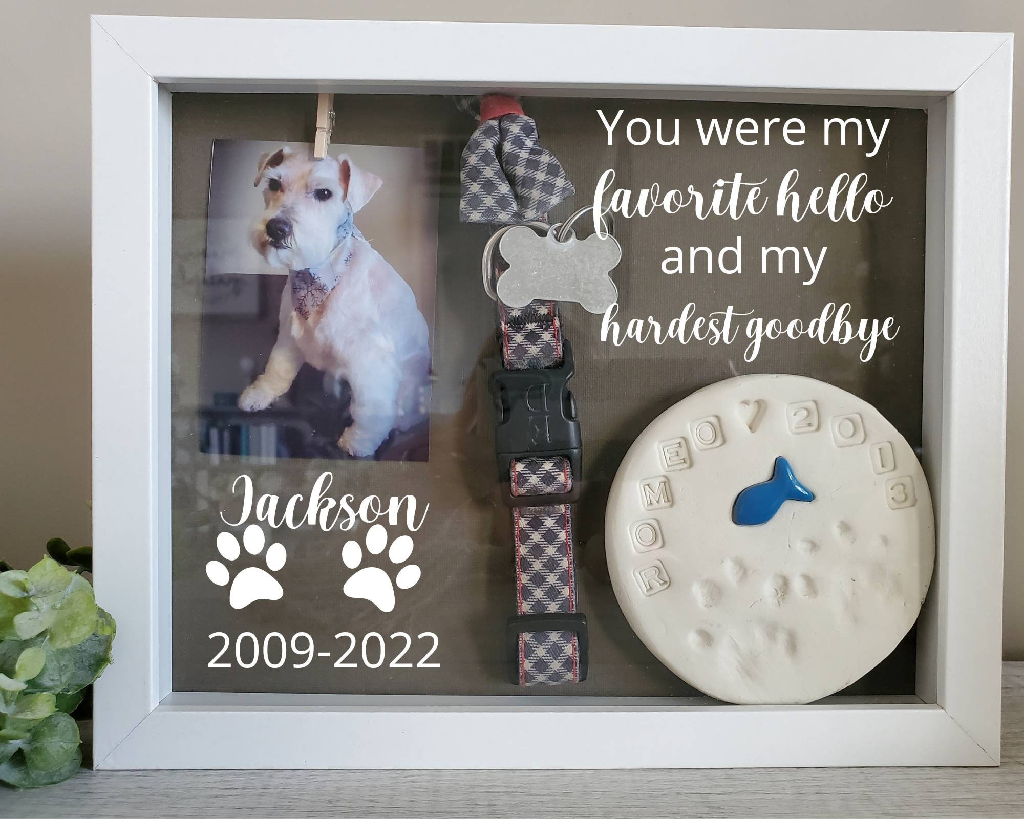 Dog memorial shadow best sale box