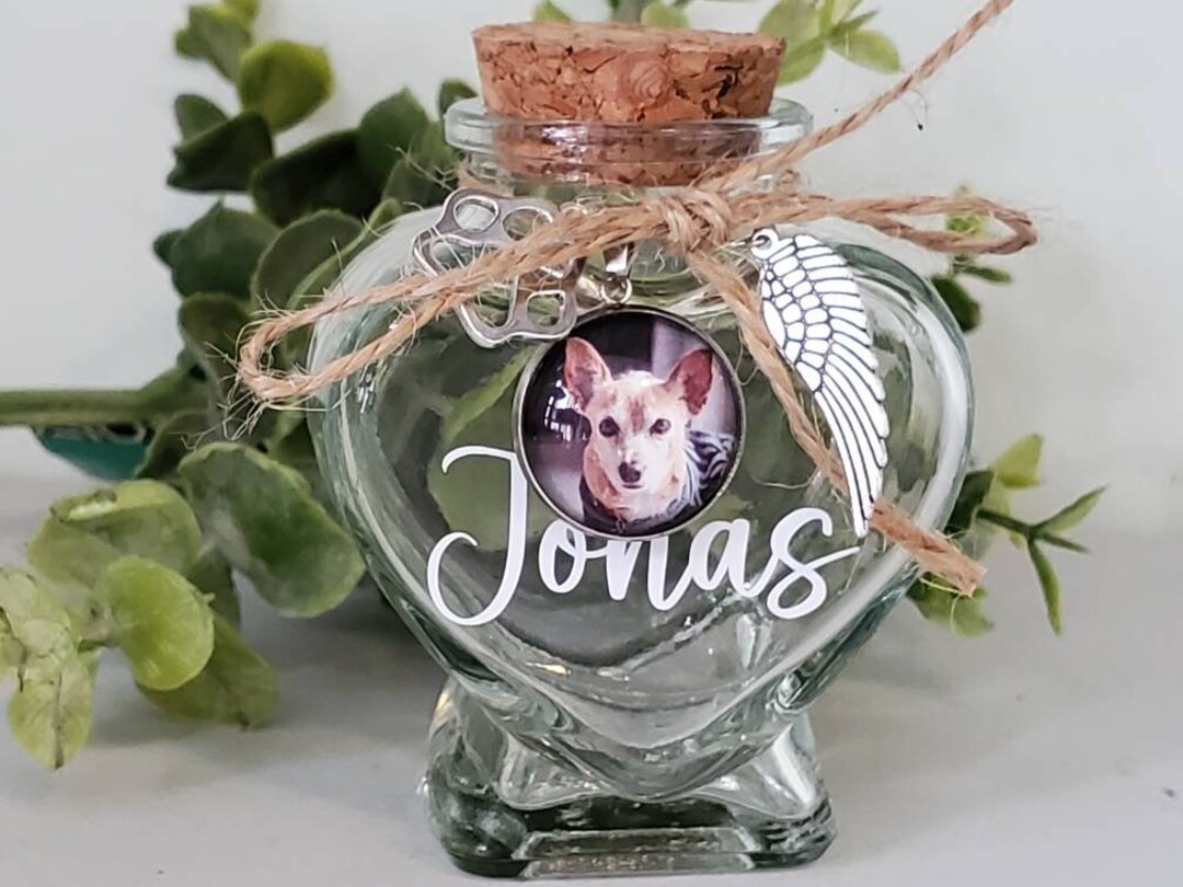 Pet Memorial Keepsake Jar for Hair, Vial for Hair, Gift for Loss of Pet
