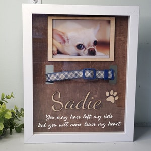 Dog Collar Memorial Frame, Pet Memorial Frame, Pet collar Memorial , Dog Loss Gift, Dog shadowbox, Pet Memorial Shadow box, Pet Loss Gift