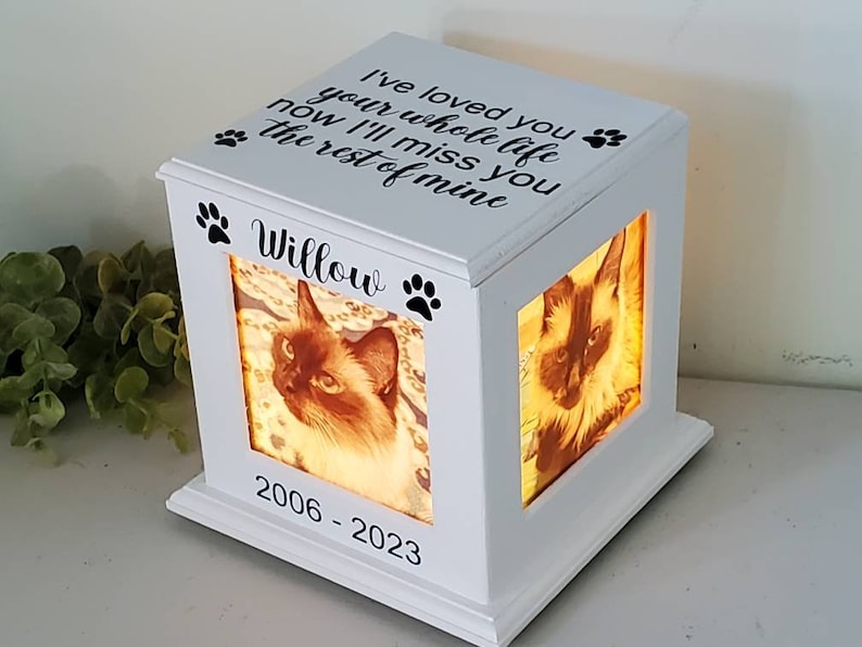 May include: White wooden box with a photo of a cat inside. The box has a light inside and the text "I've loved you your whole life now I'll miss you the rest of mine" and "Willow 2006-2023" on the front.