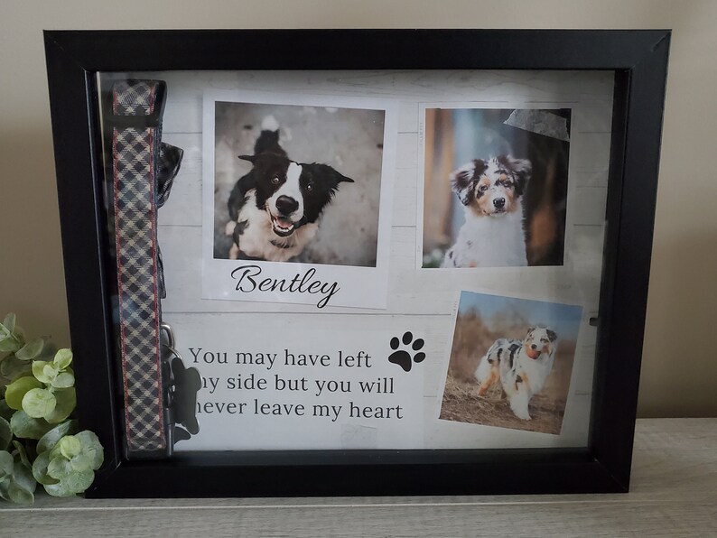 Puede incluir: Un marco de sombra negro con tres fotos de perros, un collar de perro y el texto "Bentley, You may have left my side but you will never leave my heart".