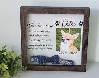 Pet Memorial Shadowbox, Pet memorial, Dog Memorial , Cat Memorial, Loss of Pet Gift, Dog collar frame, Pet Sympathy Gift