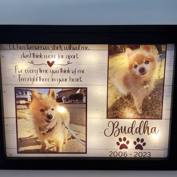 Lighted large pet Urn for dogs with photo, Pet Memorial urn, Personalized Cat Urn with Picture, large dog Urn, cat urn, pet cremation box