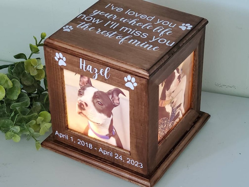 pet urn for dog