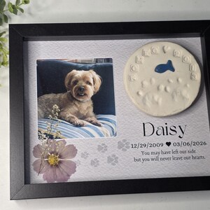 May include: A framed pet memorial with a photo of a dog, a paw print, and the name "Daisy." The frame includes the dates 12/29/2009 and 03/06/2026, along with a heartfelt message. The frame is black.