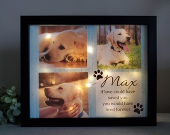 Pet Memorial frame, Dog Memorial Gift, Pet Shadowbox, Cat Memorial Gift, Personalized Dog Memorial, Pet Sympathy Gift, Lighted Shadowbox