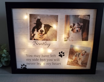 Pet Memorial frame, Dog Memorial Gift, Pet Shadowbox, Cat Memorial Gift, Personalized Dog Memorial, Pet Sympathy Gift, Lighted Shadowbox