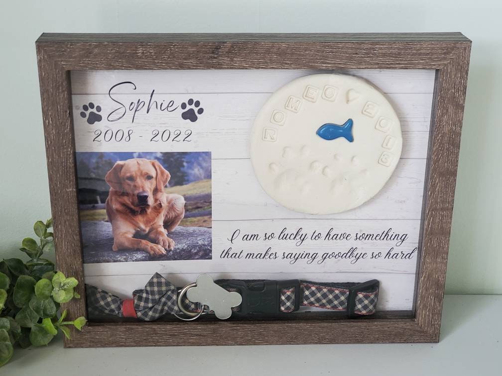Pet Memorial Pet Memorial Shadowbox Dog Collar Memorial Etsy