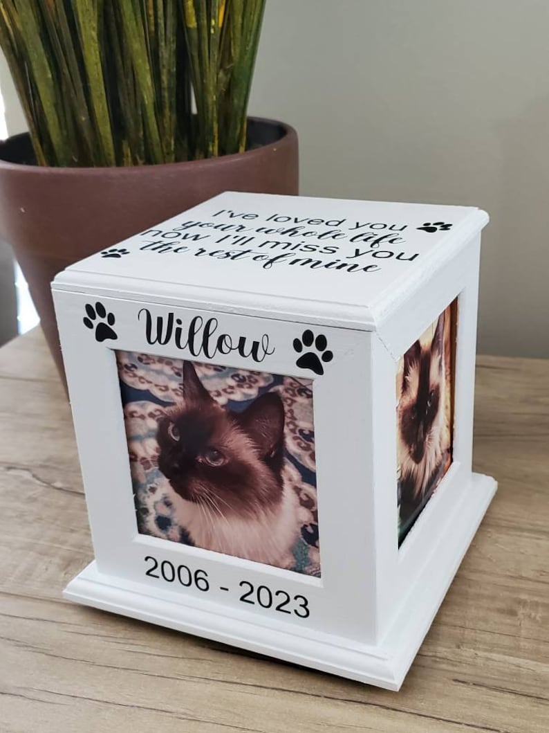May include: White wooden box with a photo frame and a paw print design. The frame contains a photo of a cat. The box has the text "I've loved you your whole life now I'll miss you the rest of mine" and "Willow" on the front. The bottom of the box has the dates "2006 - 2023".