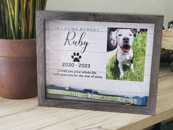 Dog memorial frame collar 2025