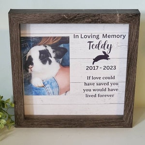 Rabbit Memorial Picture Frame,  rabbit Picture frame, Loss of rabbit Gift Memorial, bunny memorial