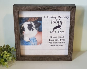 Rabbit Memorial Picture Frame,  rabbit Picture frame, Loss of rabbit Gift Memorial, bunny memorial