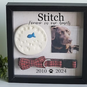 Pet Memorial Shadowbox for pawprint, Pet Memory box, gift for loss of pet, Dog shadow box , Cat Memorial frame, paw print holder
