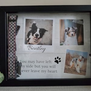 Puede incluir: Una caja de sombra negra conmemorativa con un collar de perro, tres fotos de perros y el texto "You may have left my side but you will never leave my heart".