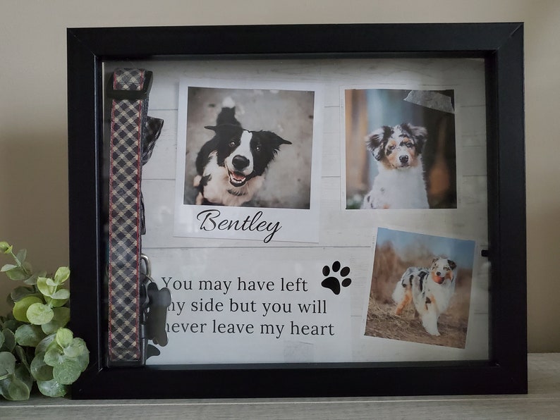 Puede incluir: Una caja de sombra negra conmemorativa con un collar de perro, tres fotos de perros y el texto "You may have left my side but you will never leave my heart".