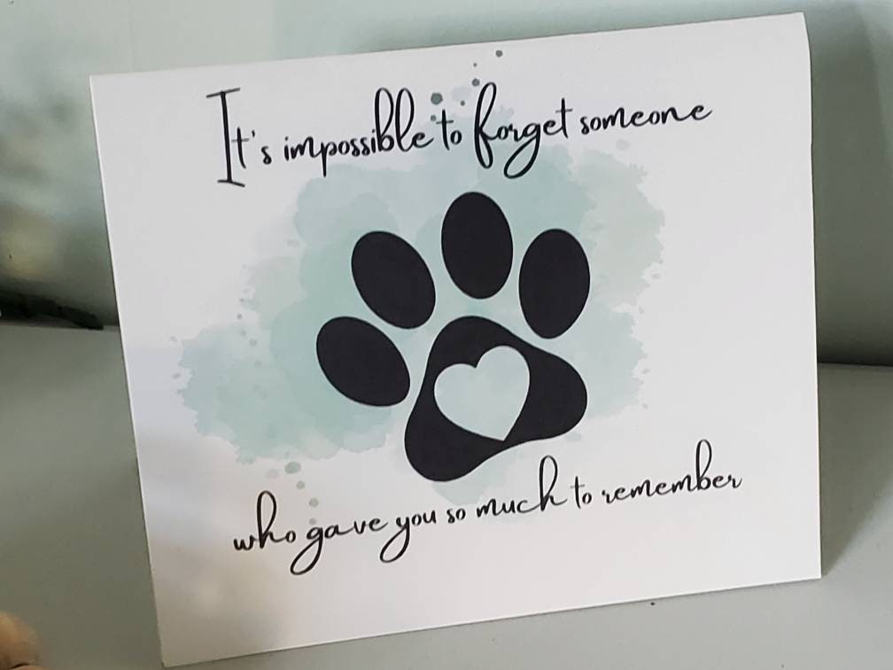 Stuff4 Pet Beileidskarte 'Paw In Our Hearts' – 145x145 Mm, Mit Blumen, Für Haustierverlust, Inkl. Umschlag