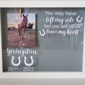 Pet Memorial, Horse Memorial Shadowbox, horse Memorial, Loss of Pet Gift, Personalized Horse Memorial Shadowbox, loss of horse Sympathy Gift