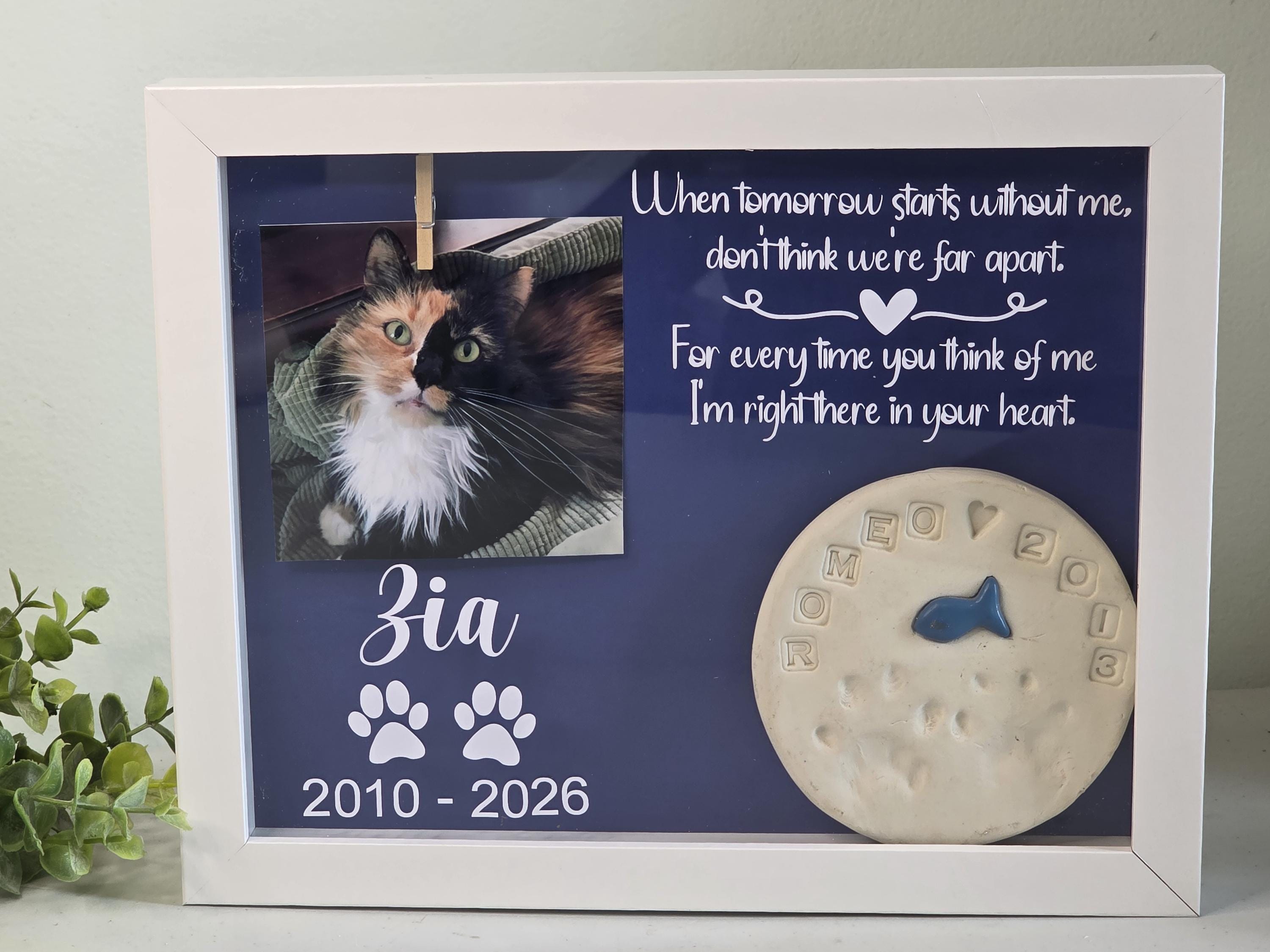Pet Memory Box , Pet Memorial Shadowbox, Dog Memorial Frame, Cat Memory ...