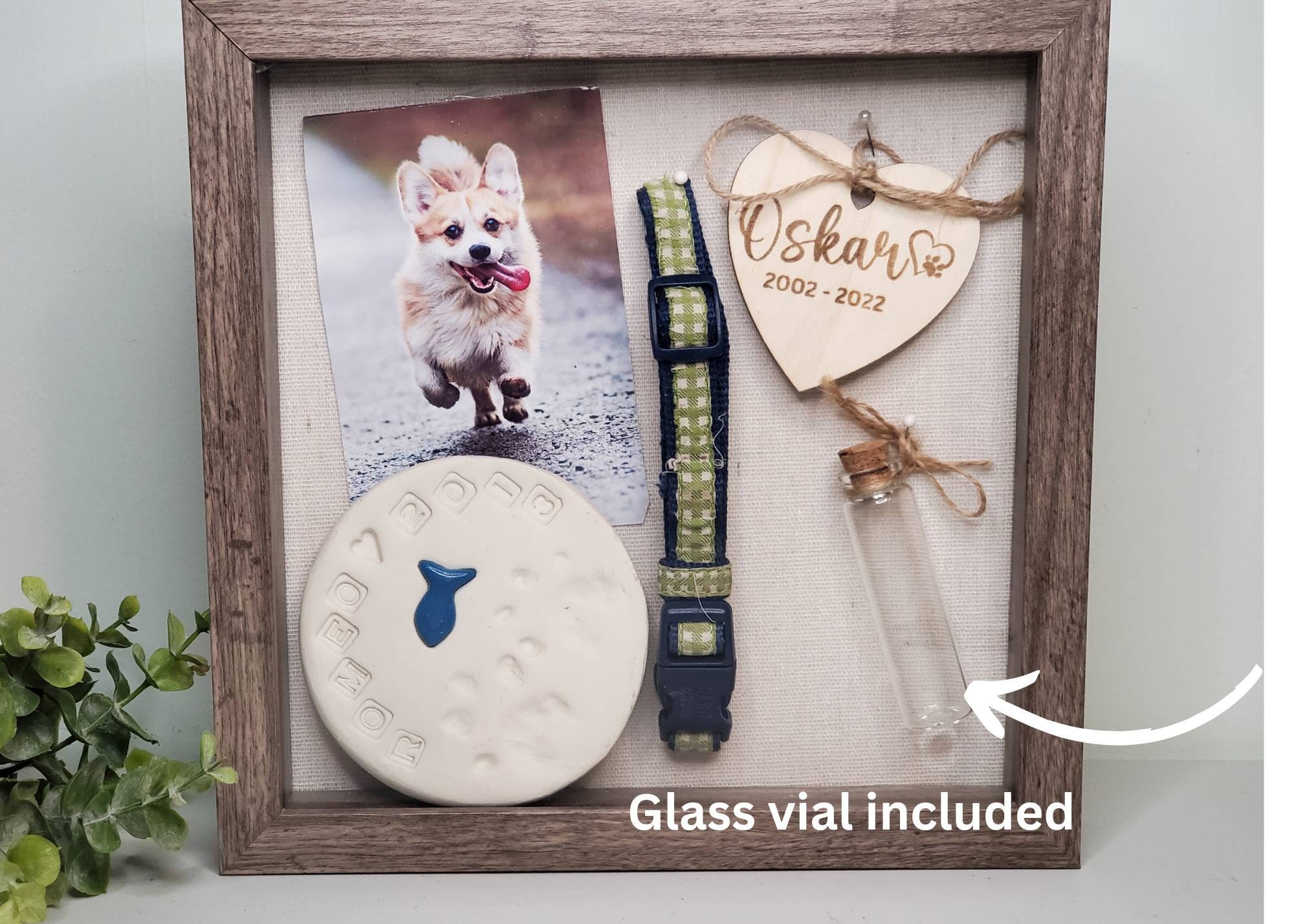 Dog collar shadow clearance box