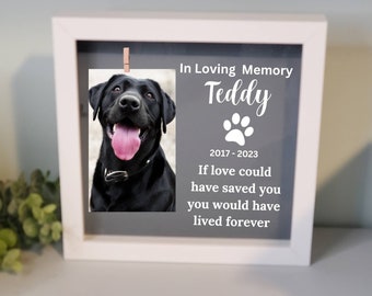 Pet Memorial frame, Pet memorial gift for loss of dog, Dog Memorial , Cat Memorial, Loss of Pet Gift, Dog collar holder, Pet Sympathy Gift
