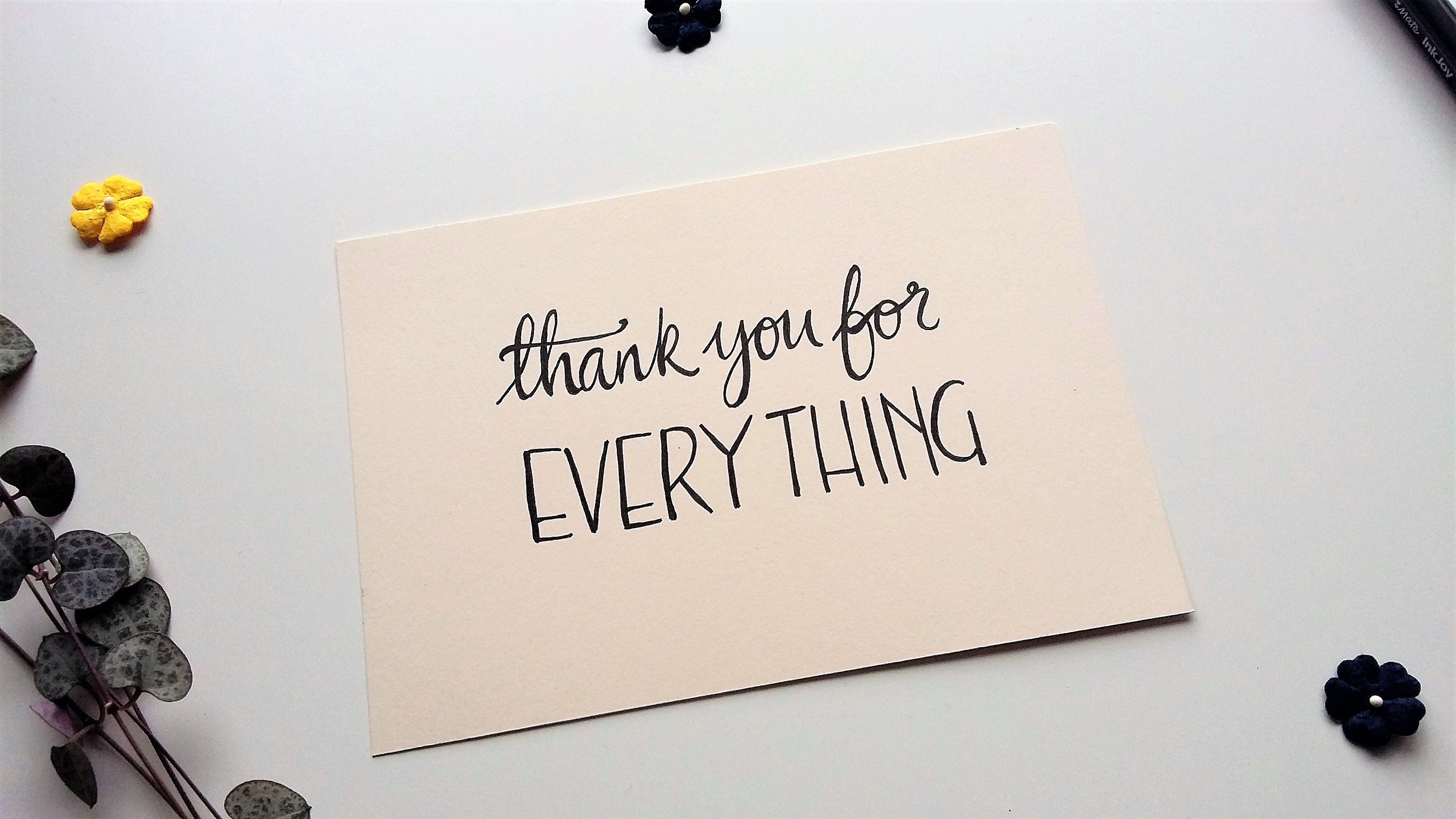 Thank You For Everything greeting card | Etsy