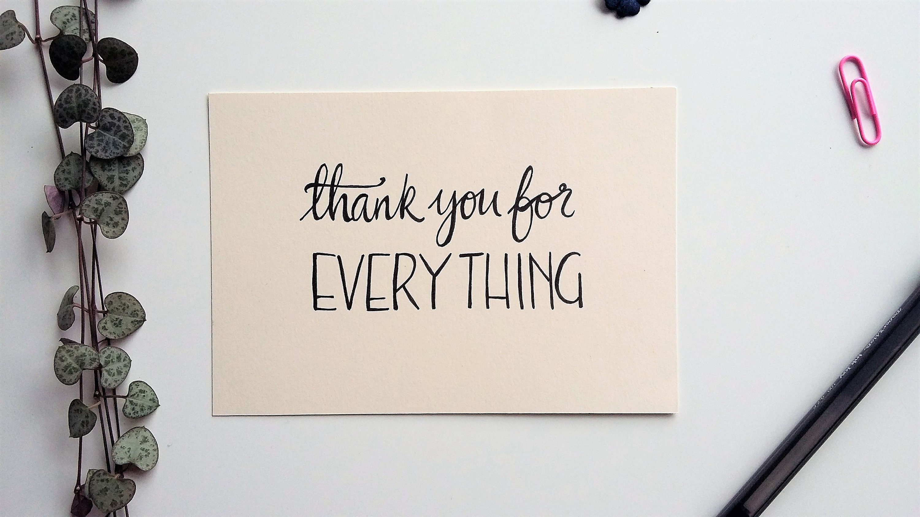 Thank You For Everything Greeting Card Etsy