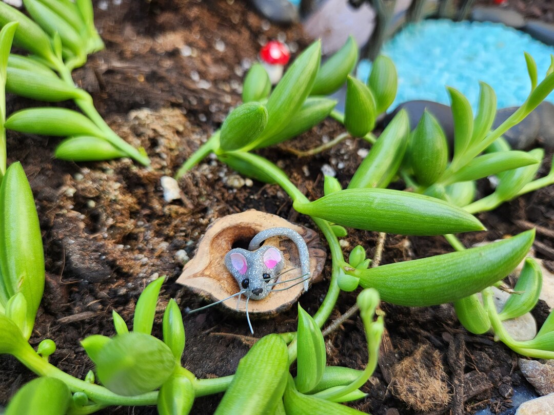 Miniature Mouse in a Walnut Shell - Fairy Garden Mouse - Walnut Shell ...