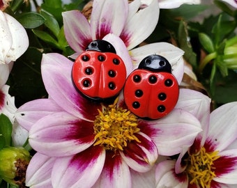 Ladybug Stud Earrings, Insect jewelry, red earrings, Novelty Earrings