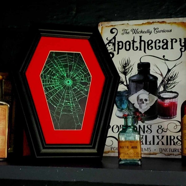 Real glow in the dark  preserved spider web, Coffin Frame, Gothic Wall hanging, Web Art, Gothic Frame, 10