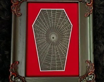 Teia de aranha genuína preservada, decoração gótica para casa, Halloween, estilo vitoriano, curiosidade, estilo dark academia, arte de teia de aranha, 68