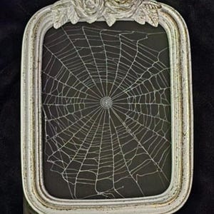 Lightly Glittered Preserved real Spiderweb, Gothic Home Decor, Antique Frame, Halloween, Victorian,  Oddity, Dark Academia, Gothic Frame, 62