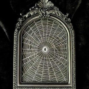Preserved real Spiderweb, Gothic Home Decor, Antique Frame, Halloween, Victorian,  Oddity, Dark Academia, Gothic Frame, 155