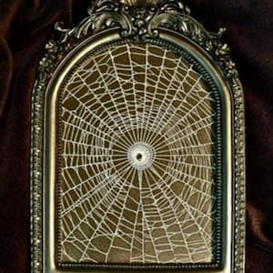 Preserved real Spiderweb, Gothic Home Decor, Antique Frame, Halloween, Victorian,  Oddity, Dark Academia, Gothic Frame, 136