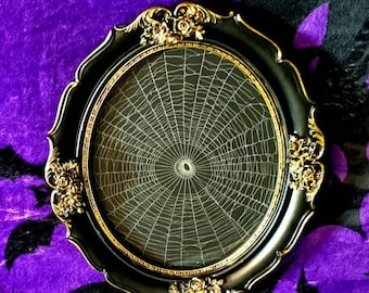 Telaraña auténtica conservada, decoración gótica para el hogar, marco ovalado antiguo, Halloween, rareza, academia oscura, arte de telaraña, 5