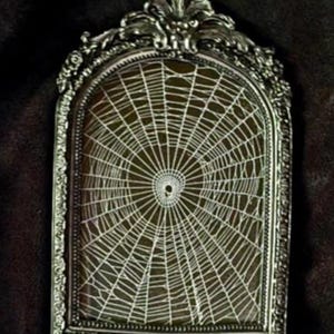 Preserved real Spiderweb, Gothic Home Decor, Antique Frame, Halloween, Victorian,  Oddity, Dark Academia, Gothic Frame, 119