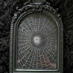 May include: An arched black picture frame with ornate, carved detailing along the top and sides. The frame contains a black background featuring a detailed, white, circular spider web pattern centered within the glass display area.