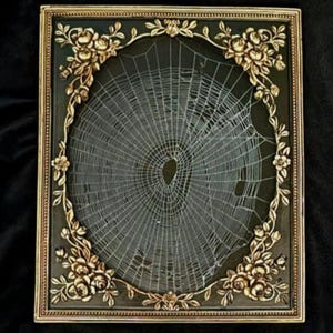 Preserved real Spiderweb, Gothic Home Decor, Antique Frame, Halloween, Victorian,  Oddity, Dark Academia, Gothic 8 x 10 Frame, 106