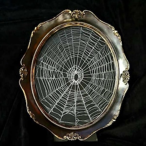 Preserved real Spiderweb, Gothic Home Decor, Antique Frame, Halloween, Victorian,  Oddity, Dark Academia, Gothic 8 x 10 Frame, 154