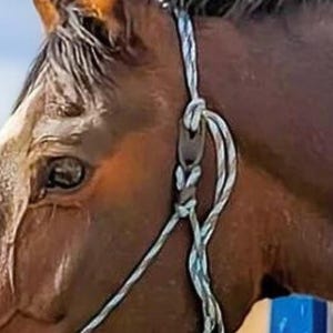 Leather Rope Halter Breakaway Tab - Add to Existing Horses Halter, A Leather Breakaway for Horse Rope Halters, Horse Tack