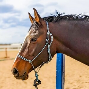 Name Tag for Horse Tack Lead Rope Halter Bridle Saddle 
